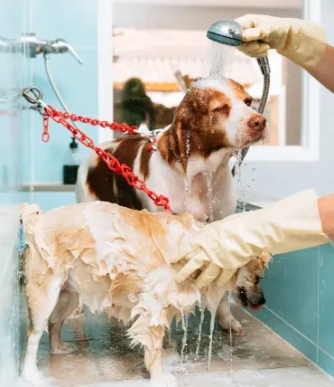 Peluquería Etxebarri Autolavado