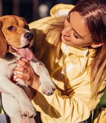 Etxebarri guardería de perros